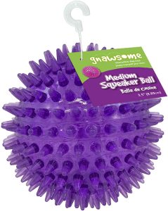 Gnawsome squeaker toy for dogs