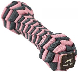 Tall Tails Braided Bone Natural Dog Toy